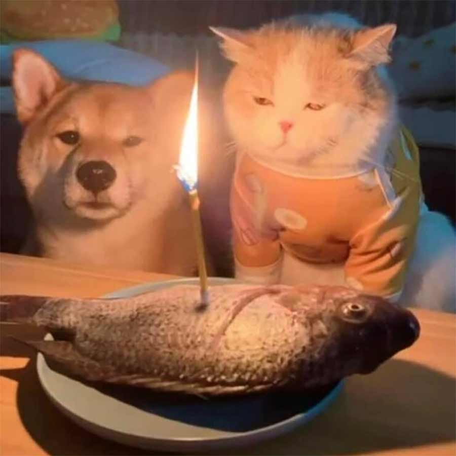 Picdump Nr. 29/2022 (Bildschirmarbeiter.com)