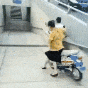 Gifdump Nr. 496 (Hornoxe.com)