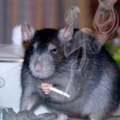 Picdump Nr. 785 (Hornoxe.com)