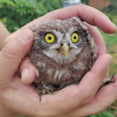 Picdump Nr. 28/2022 (Bildschirmarbeiter.com)