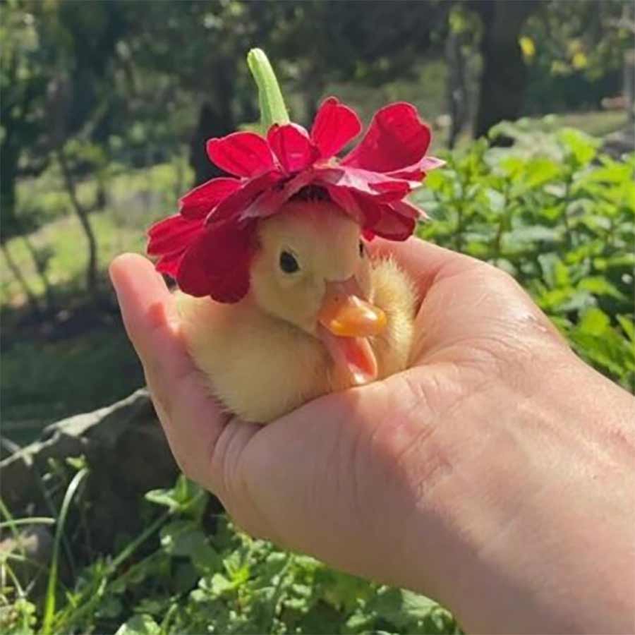 Picdump Nr. 672 (TrendMutti.com)