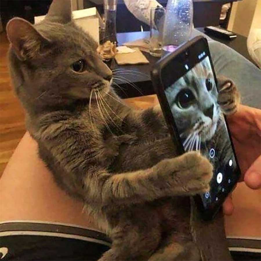 Picdump Nr. 668 (TrendMutti.com)