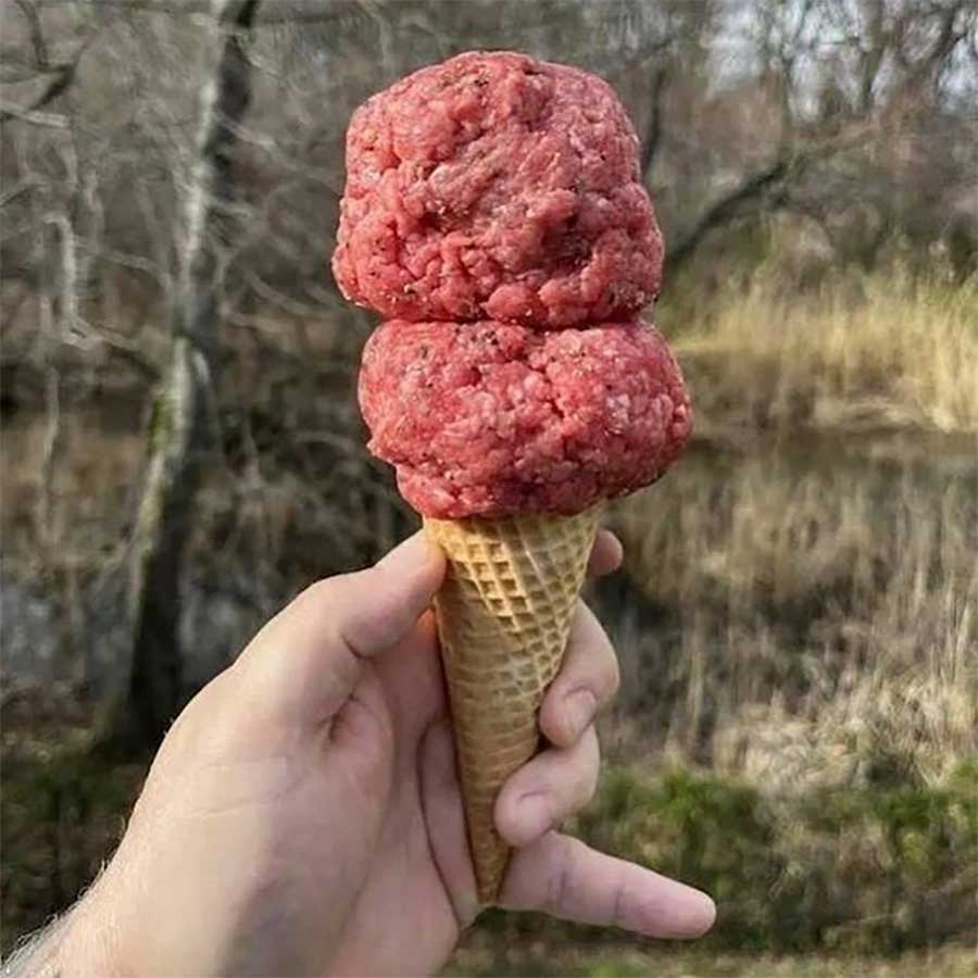 Picdump Nr. 431 (Watson.ch)