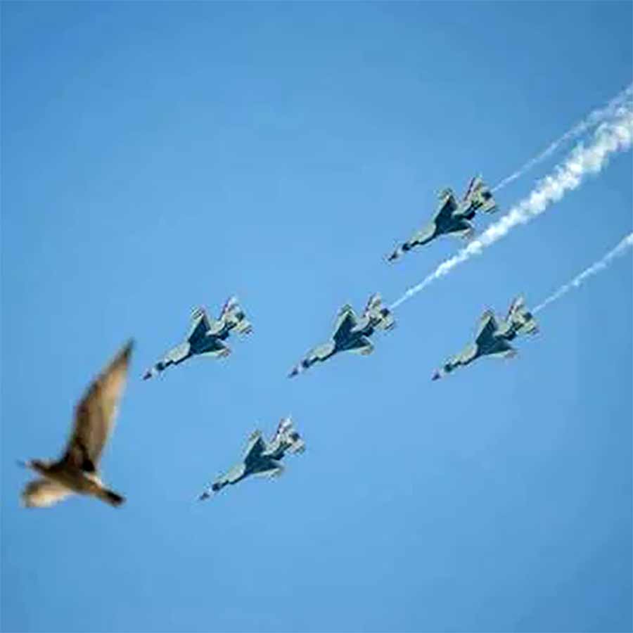 30 perfekt getimete Bilder (TheChive.com)