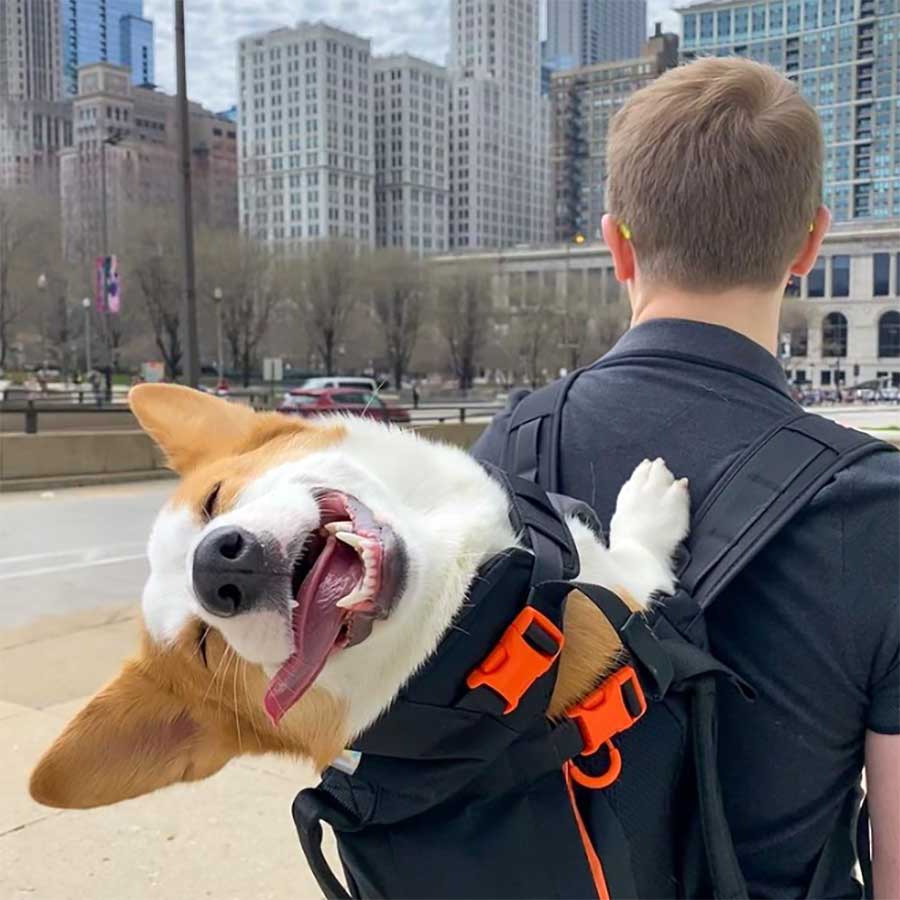 Picdump Nr. 37/2022 (Brainblog.net)