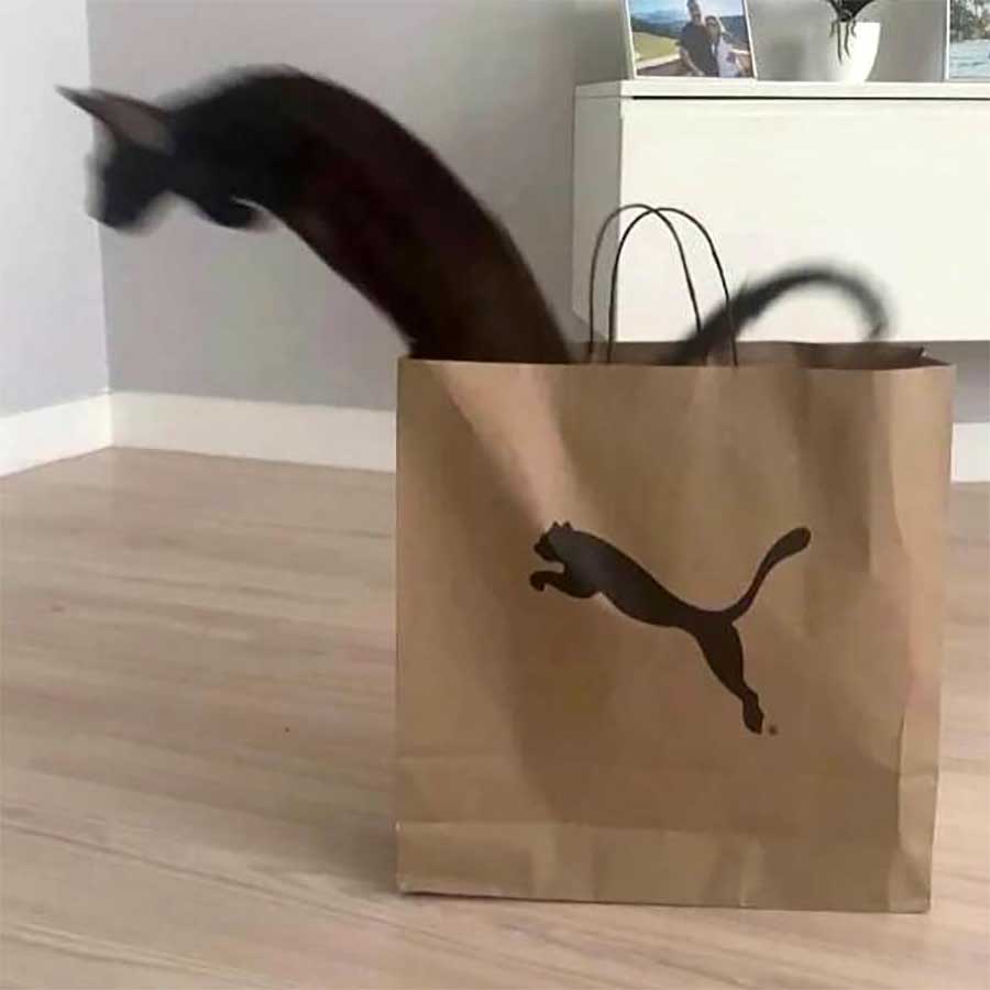 Picdump Nr. 220924 (Izismile.com)