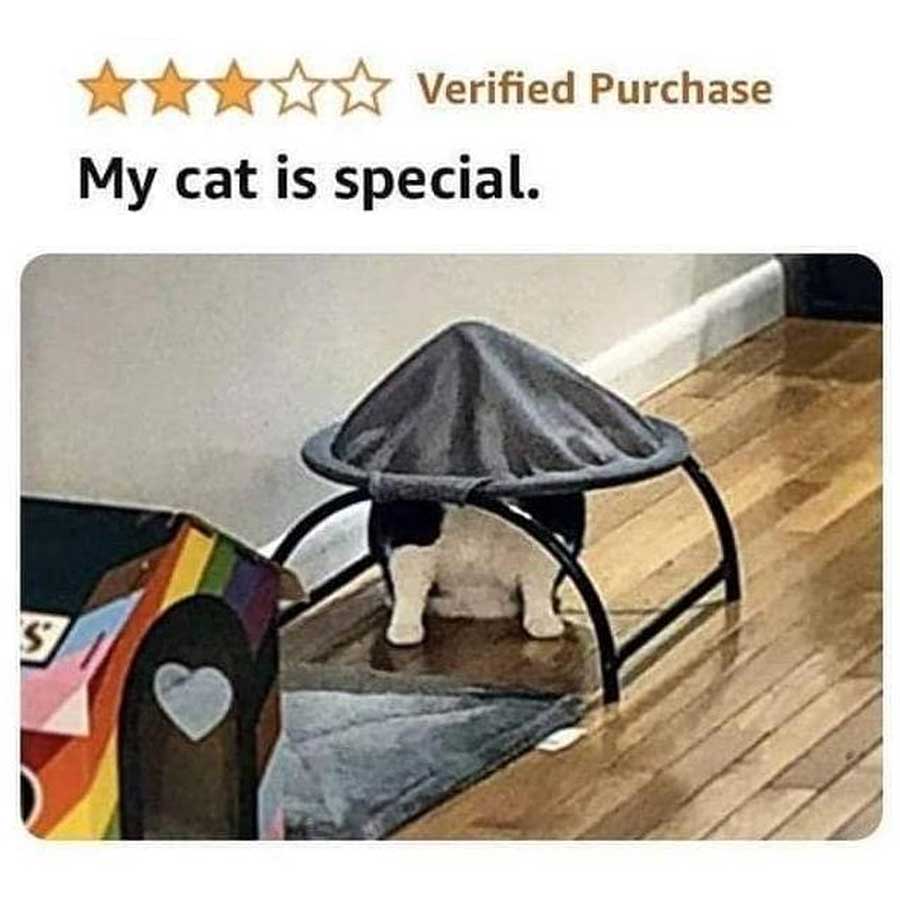 30+ lustige Amazon-Bewertungen