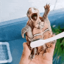 Gifdump Nr. 626 (TrendMutti.com)