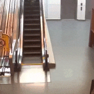 Gifdump Nr. 221014 (Barnorama.com)