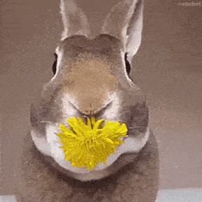 Gifdump Nr. 633 (TrendMutti.com)