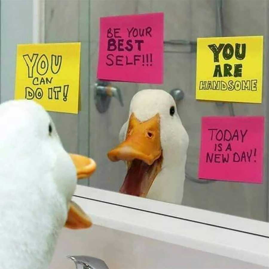 Picdump Nr. 679 (TrendMutti.com)