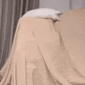 Gifdump Nr. 636 (TrendMutti.com)