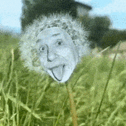 Gifdump Nr. 4 (LangweileDich.net)