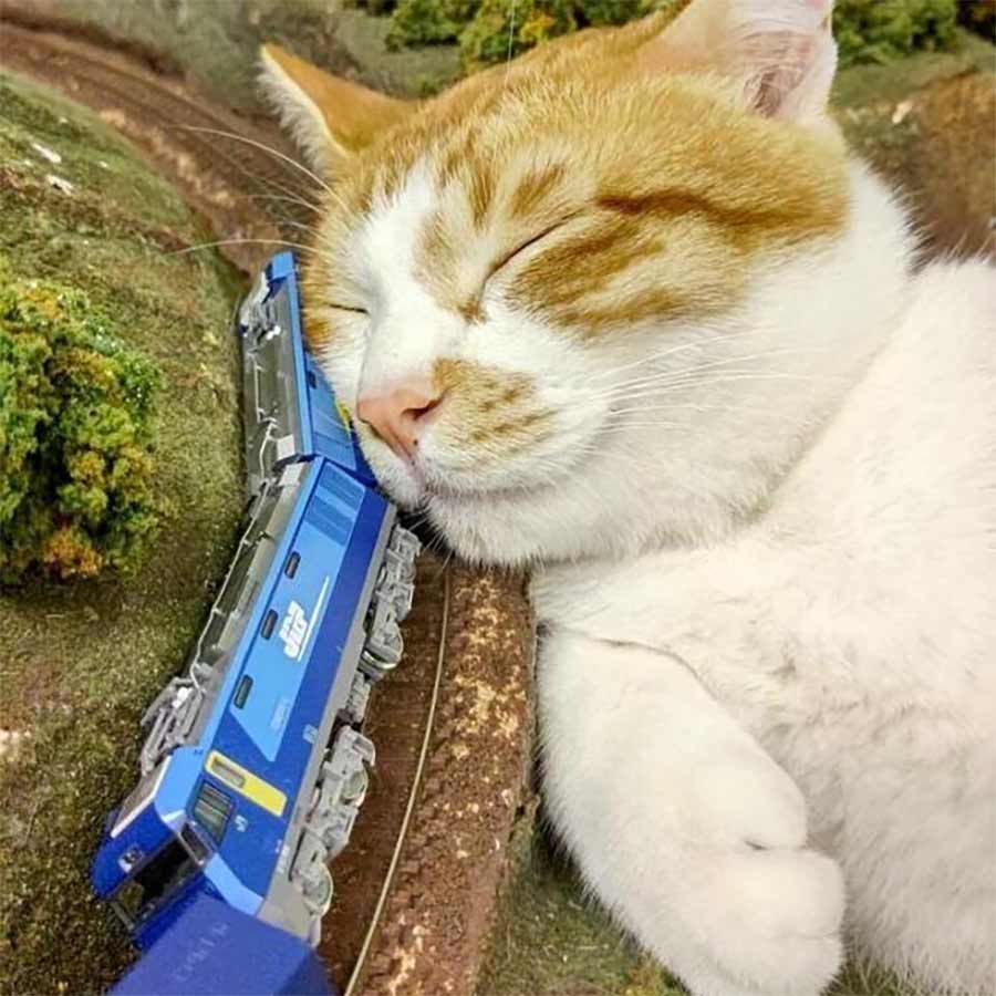 Picdump Nr. 617 (isnichwahr.de)