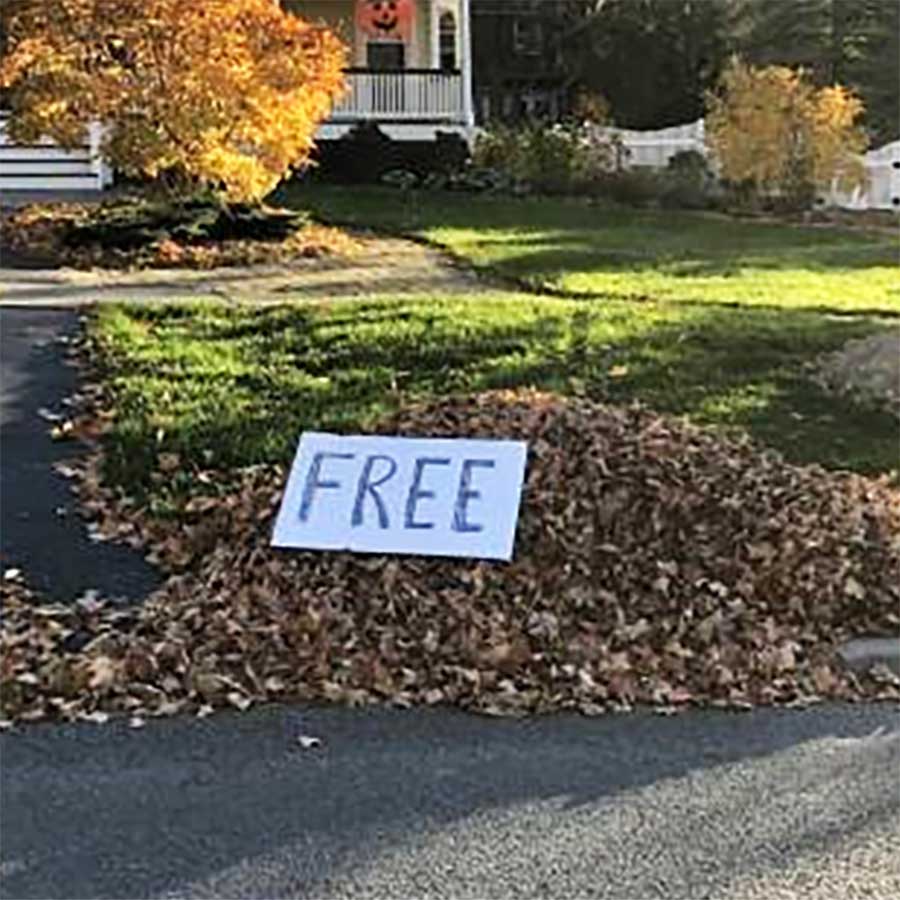 Picdump Nr. 682 (TrendMutti.com)