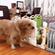 Gifdump Nr. 221206 (Barnorama.com)