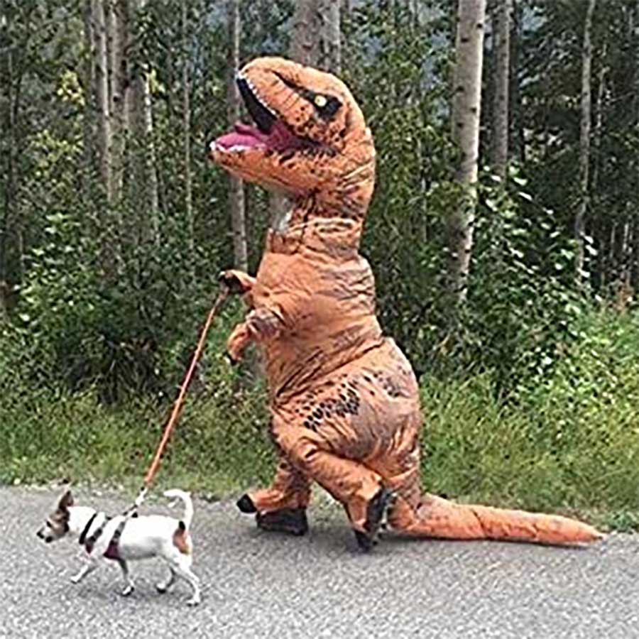 Dinosaurier-Kostüm