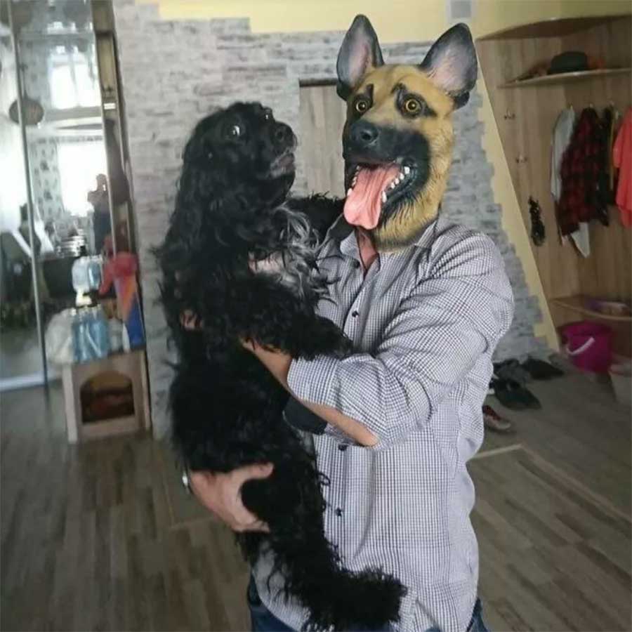 Picdump Nr. 3074 (Skoften.net)