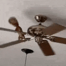 Gifdump Nr. 14 (LangweileDich.net)