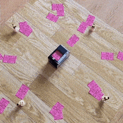 Gifdump Nr. 517 (Hornoxe.com)