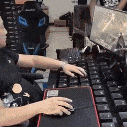 Gifdump Nr. 518 (Hornoxe.com)