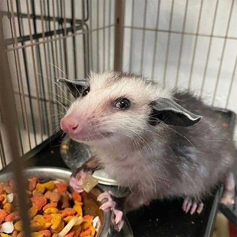 Picdump Nr. 692 (TrendMutti.com)