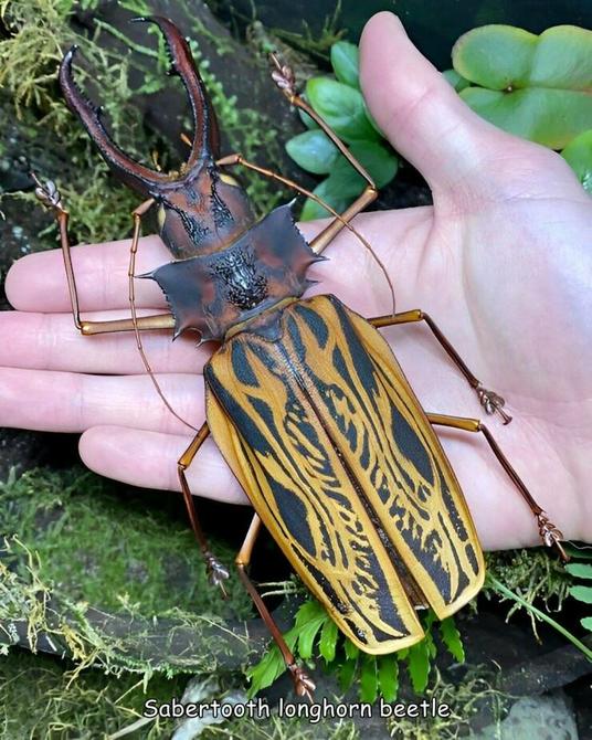 Picdump Nr. 628 (isnichwahr.de)