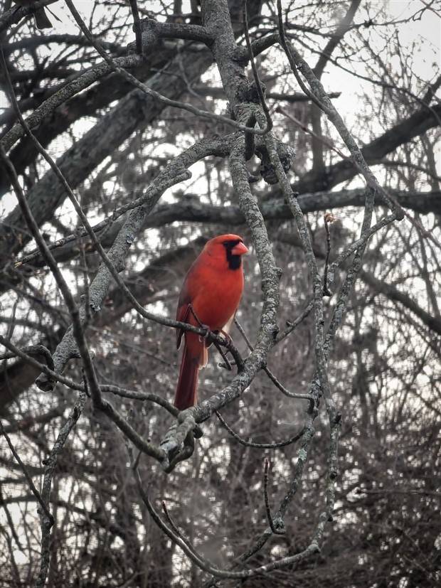 Picdump Nr. 1170 (Klyker.com)