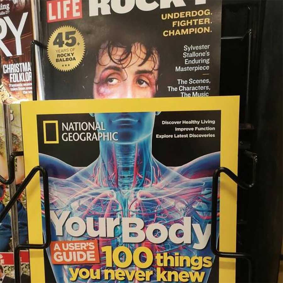 Picdump Nr. 16/2023 (Bildschirmarbeiter.com)