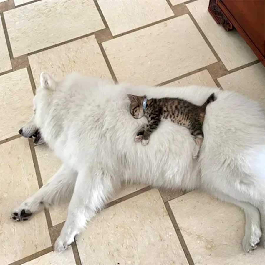 Picdump Nr. 13/2023 (Bildschirmarbeiter.com)