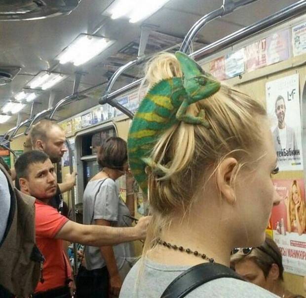 Picdump Nr. 1185 (Klyker.com)