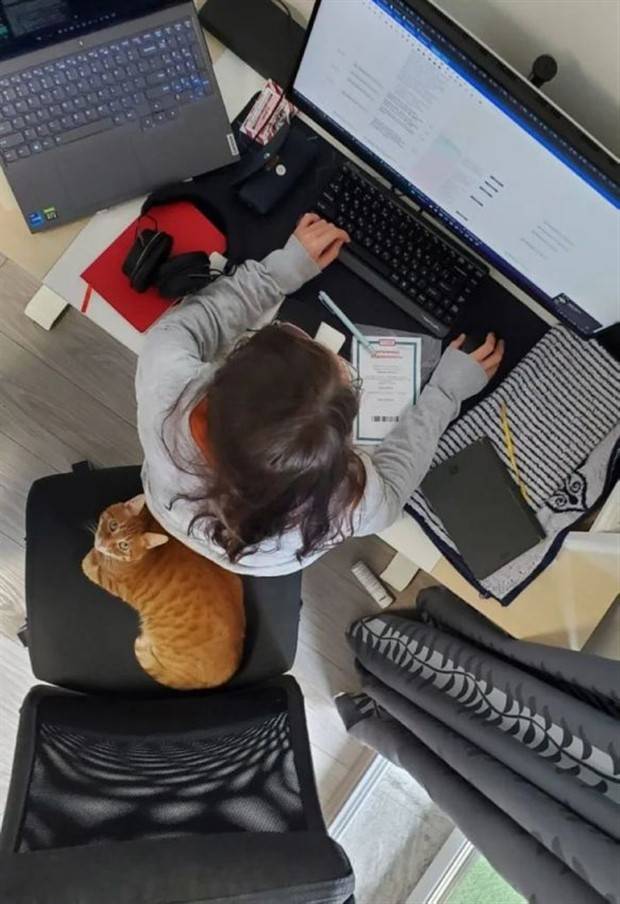 Picdump Nr. 1175 (Klyker.com)