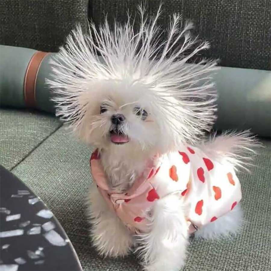 Picdump Nr. 19/2023 (Bildschirmarbeiter.com)