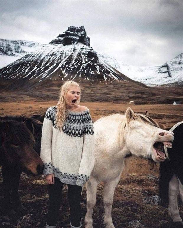 Picdump Nr. 1195 (Klyker.com)