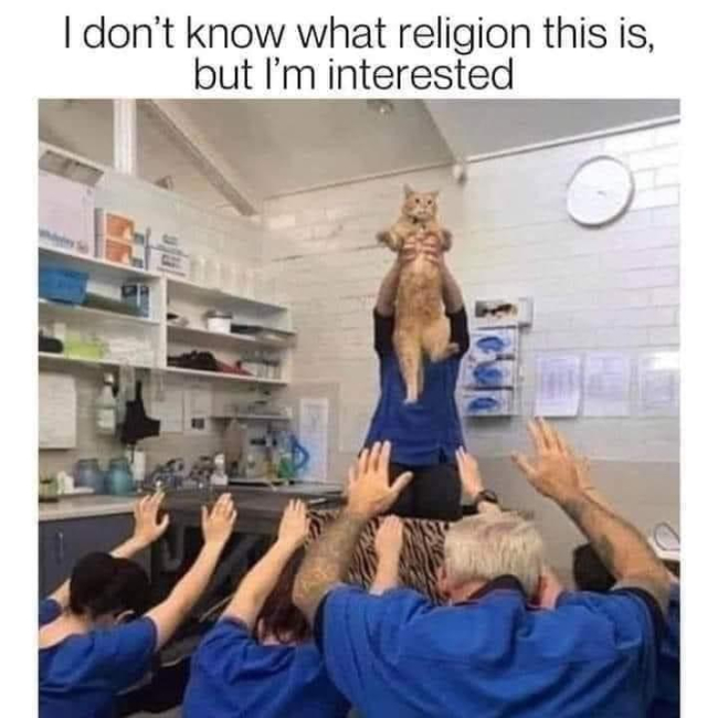 Picdump Nr. 25/2023 (Brainblog.net)