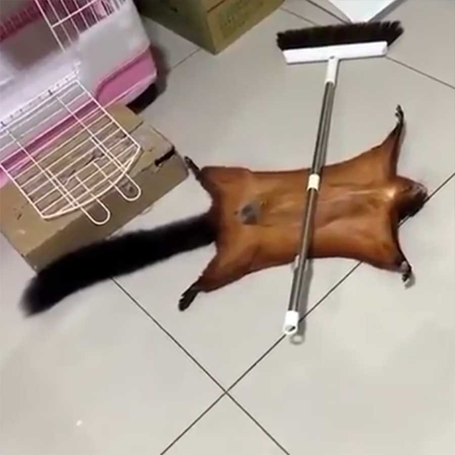 Viddump Nr. 386 (LangweileDich.net)