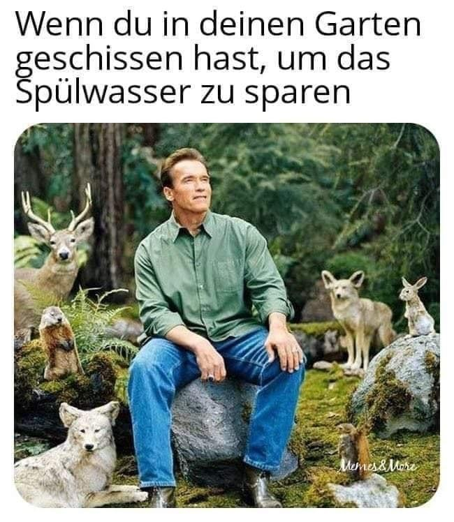 Picdump Nr. 27/2023 (Brainblog.net)