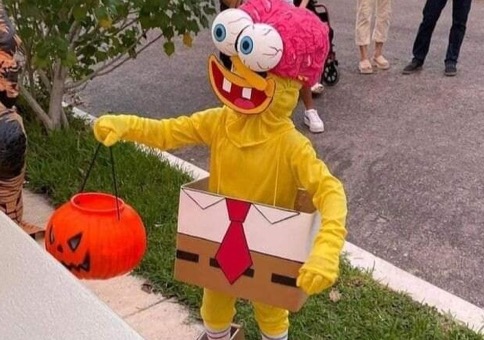 Picdump Nr. 843 (Hornoxe.com)