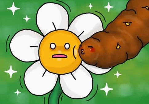 Picdump Nr. 844 (Hornoxe.com)