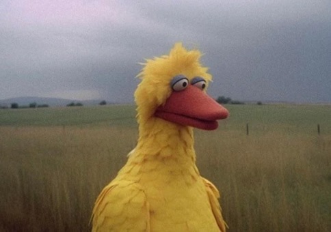 Picdump Nr. 841 (Hornoxe.com)