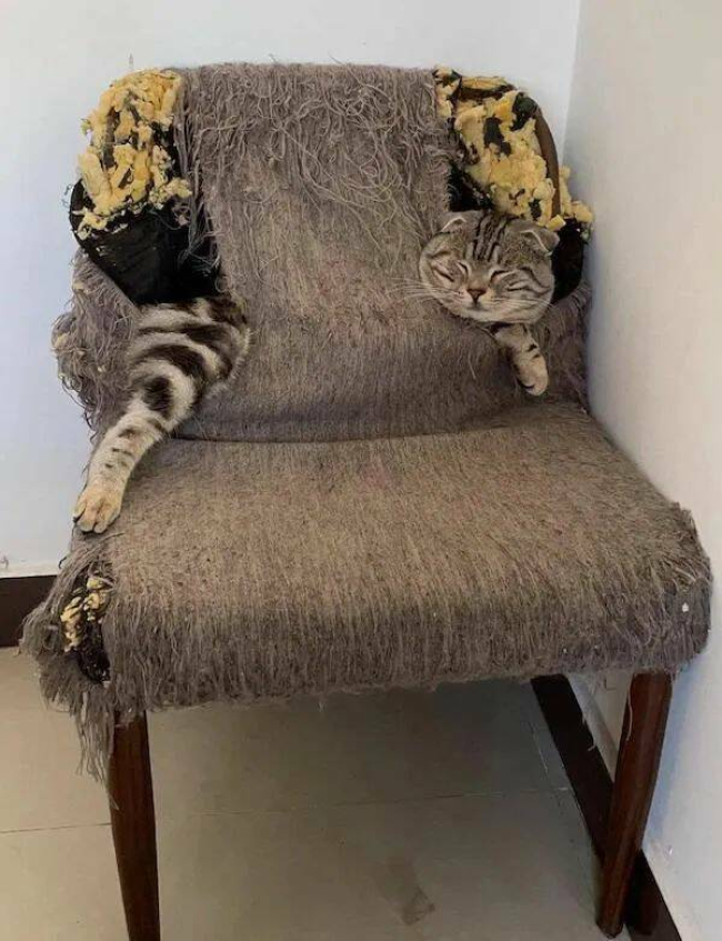 Picdump Nr. 34/2023 (Brainblog.net)