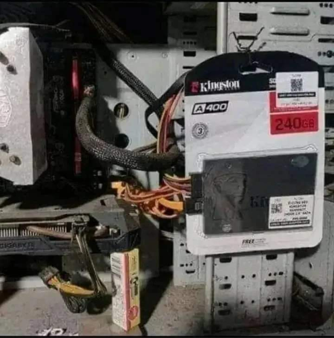 Picdump Nr. 34/2023 (Brainblog.net)