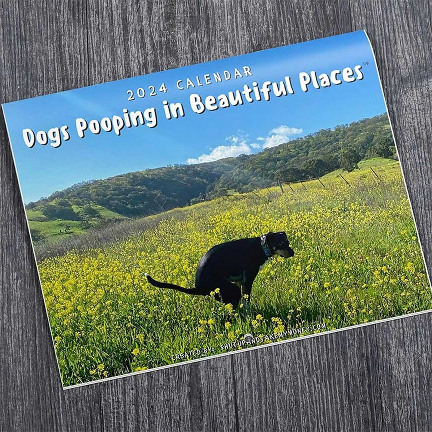 Kalender2024: „Dogs pooping in beautiful spaces“
