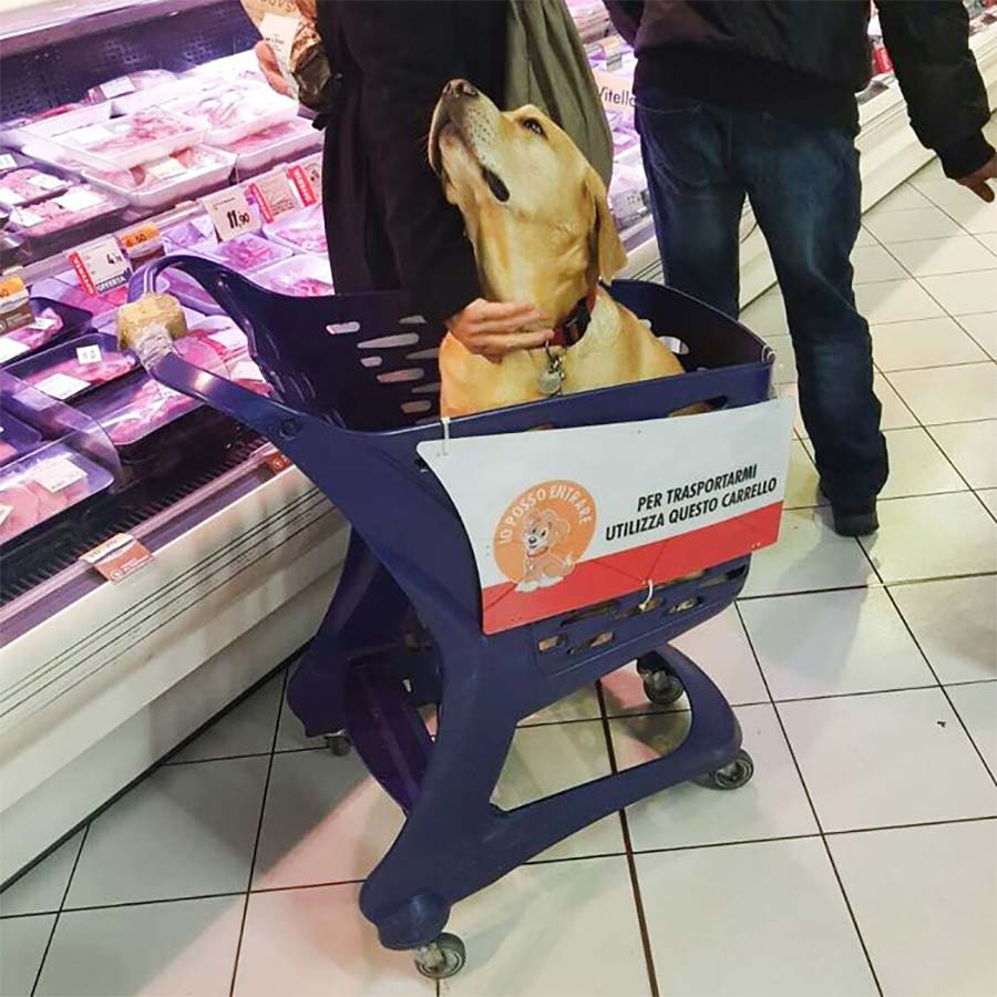 50 tolle Laden-Ideen