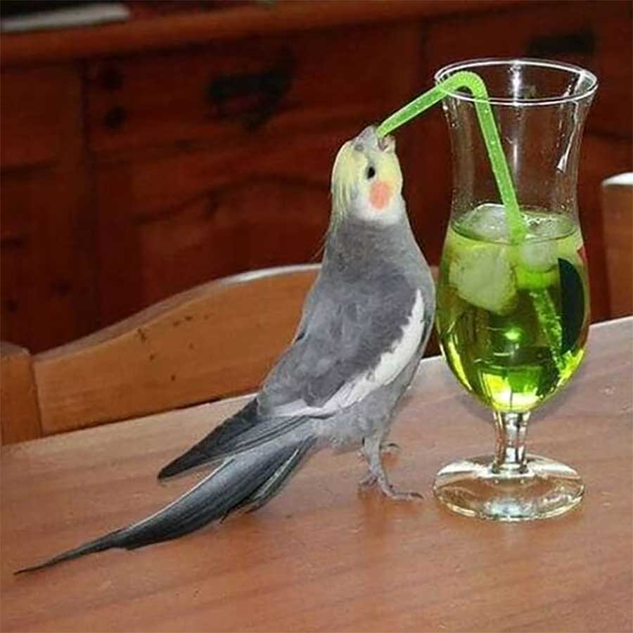 Mini-Picdump (Pleated-Jeans.com)