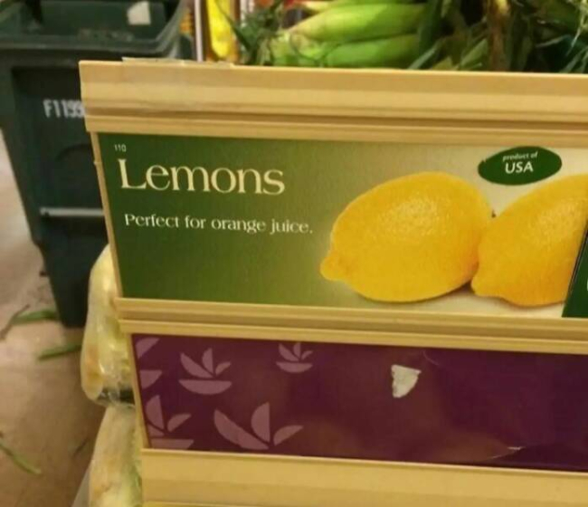 Picdump Nr. 35/2023 (Brainblog.net)