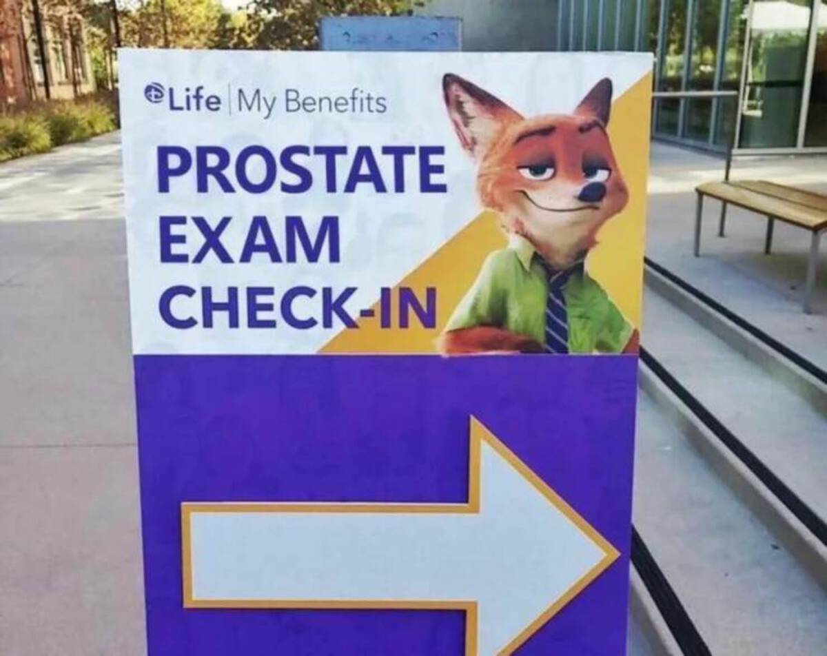 Picdump Nr. 42/2023 (ebaumsworld.com)