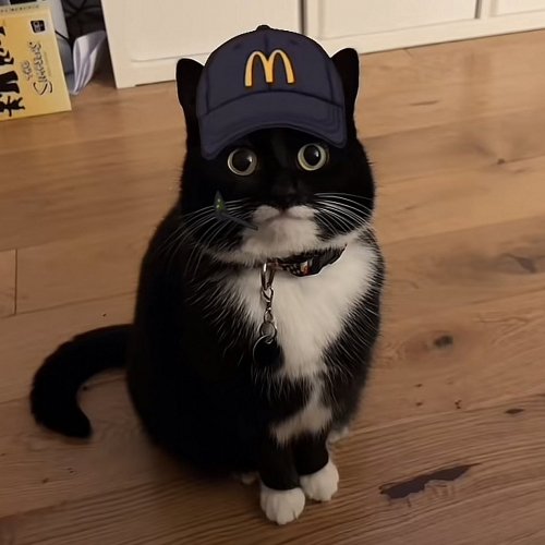 Picdump Nr. 732 (TrendMutti.com)