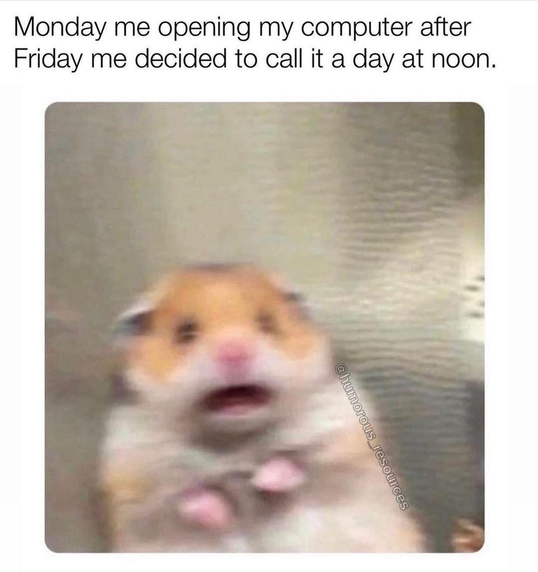 Picdump Nr. 41/2023 (ebaumsworld.com)