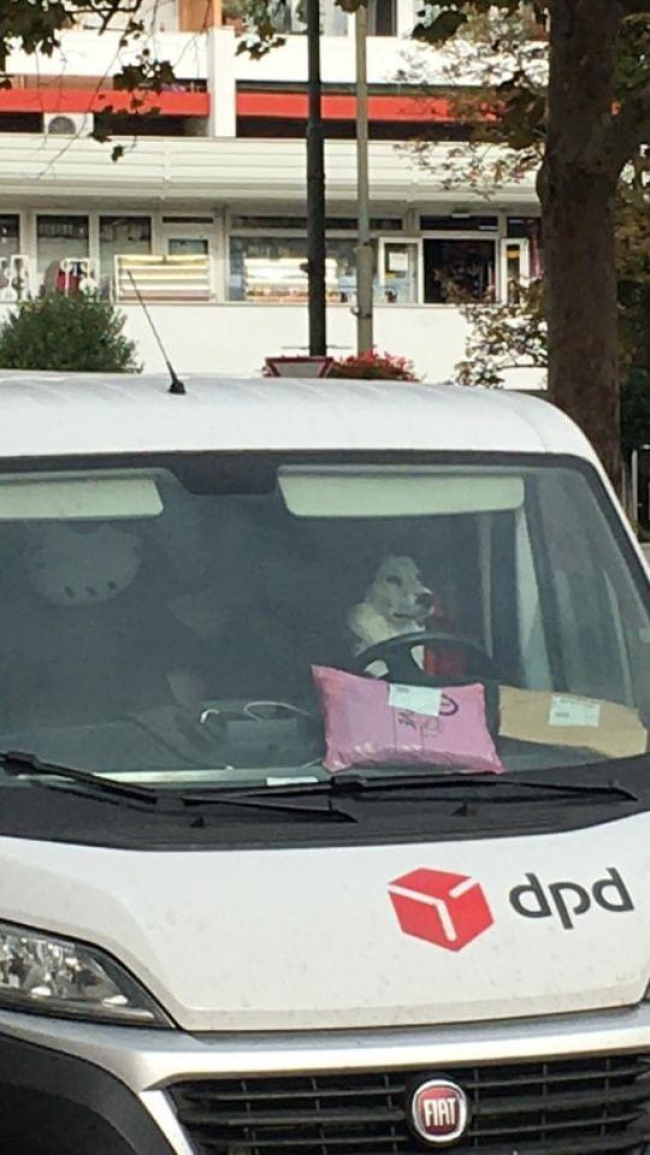 Picdump Nr. 43/2023 (Brainblog.net)